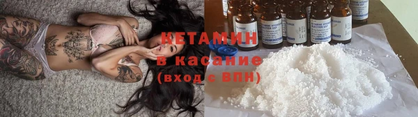 стафф Касимов