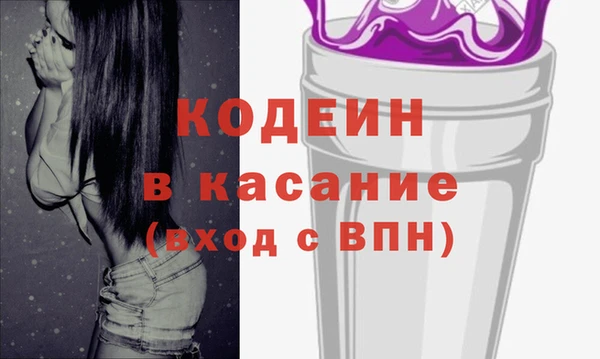 стафф Касимов