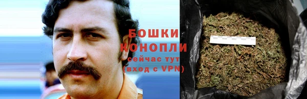 стафф Касимов