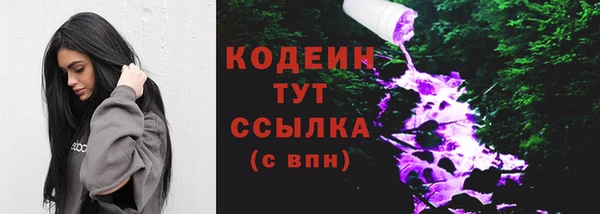 гидра Ахтубинск