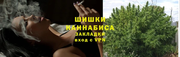 apvp Карпинск