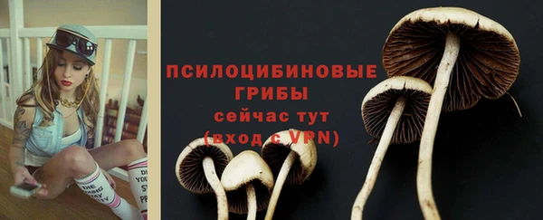 стафф Касимов