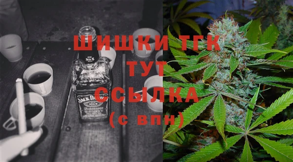 apvp Карпинск