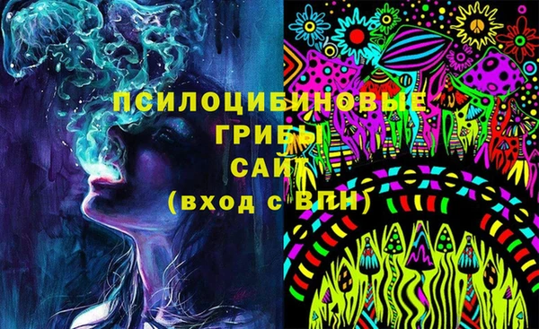 крисы Карталы